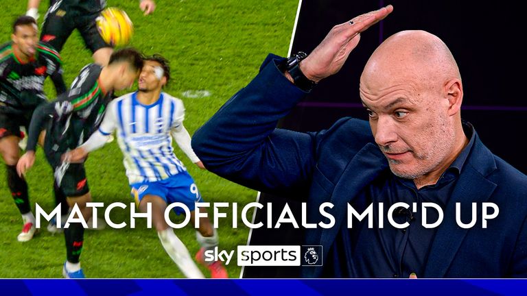 也为他人树 也为他人树