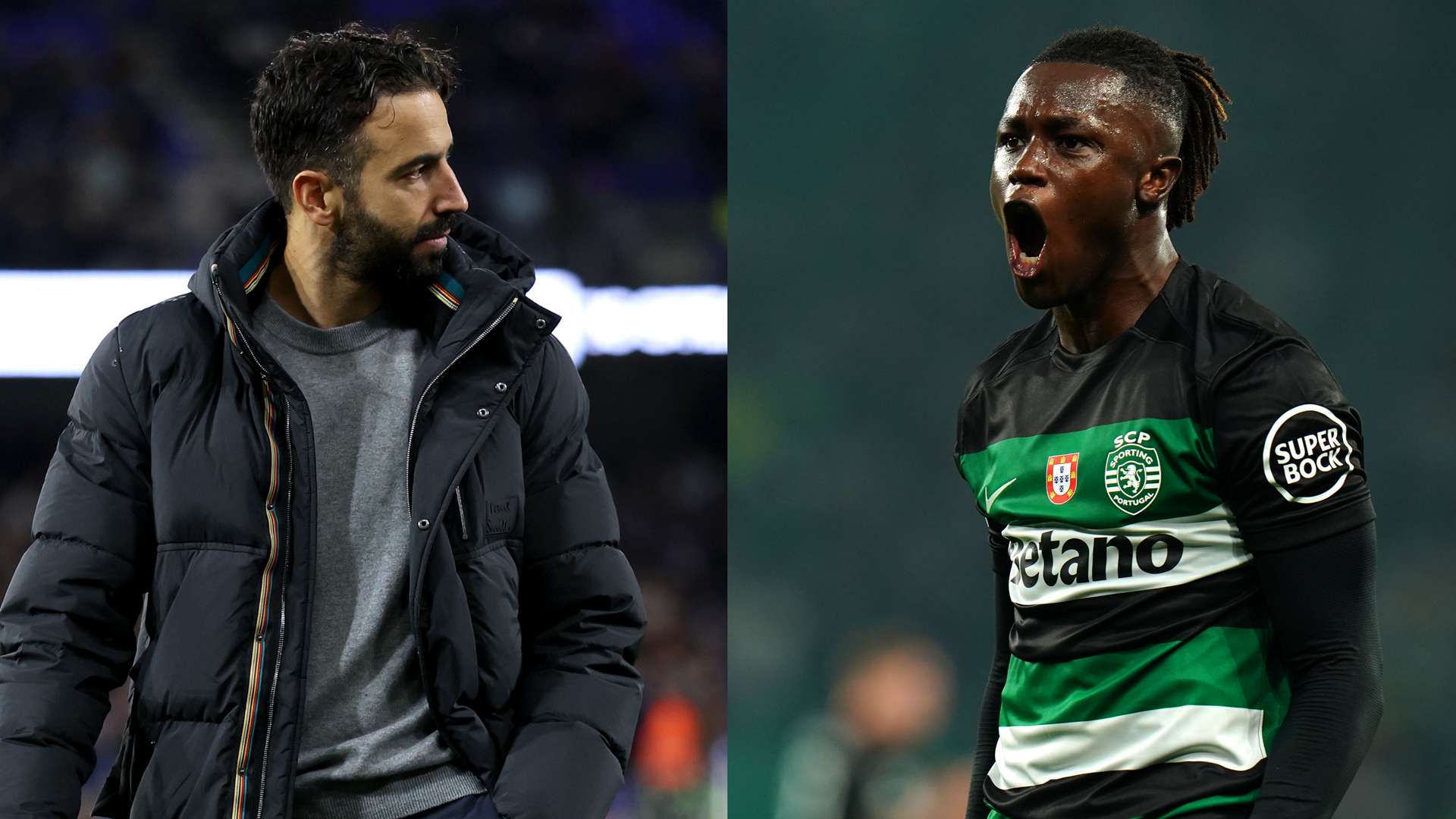 这一案例也 这一案例也